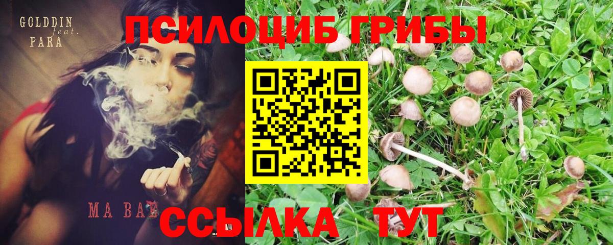 Псилоцибиновые грибы MAGIC MUSHROOMS Печора