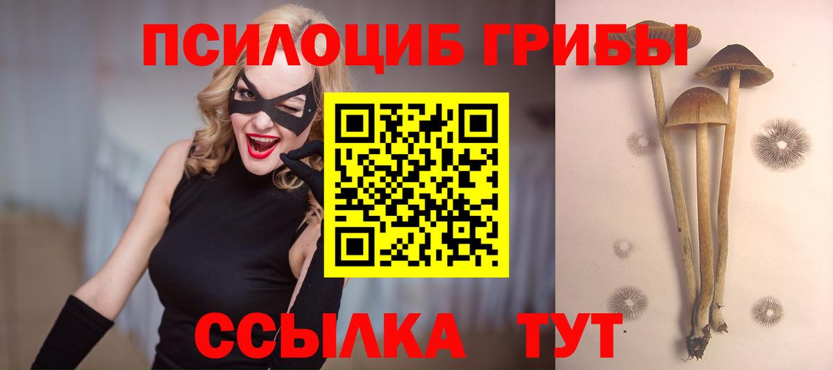 Галлюциногенные грибы Psilocybe  Вход с VPN  Печора  Галлюциногенные грибы Cubensis 