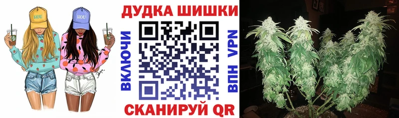 Бошки Шишки THC 21%  kraken ТОР  нарко площадка клад  Печора 